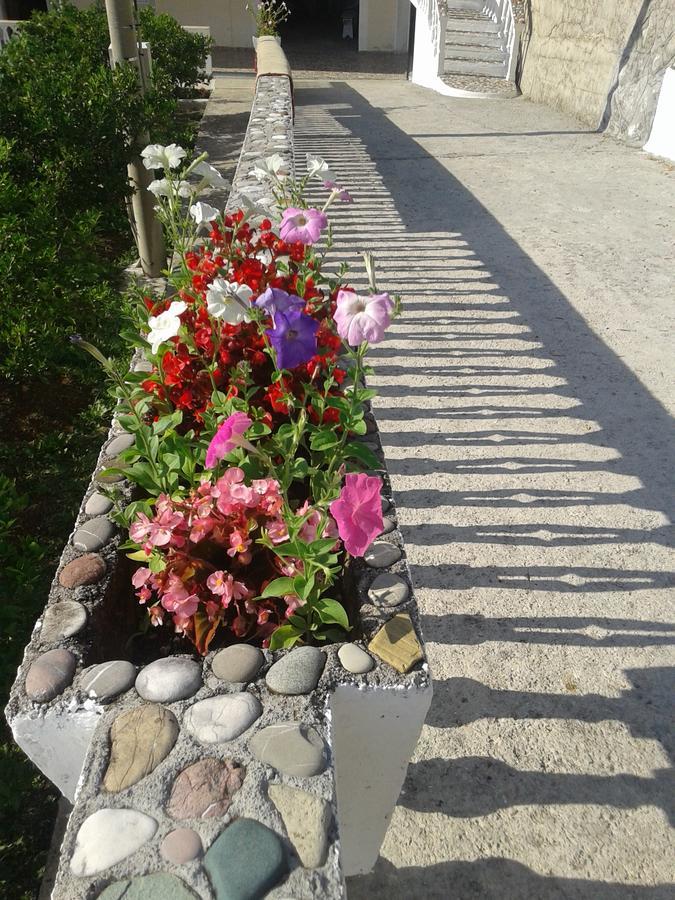 Beautiful View Διαμέρισμα Κότορ Εξωτερικό φωτογραφία